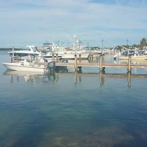 Meet your Posher, Vilmarie